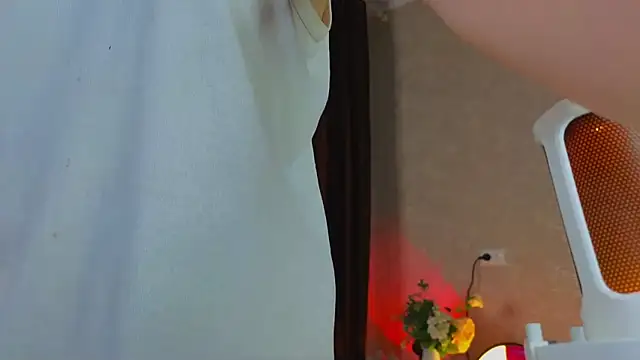 sinteas 现场聊天室