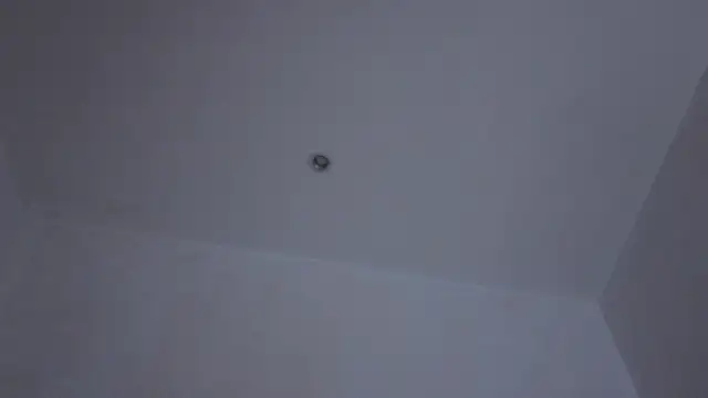 emiliyafox_ লাইভ চ্যাট রুম