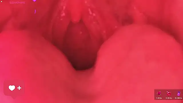 美女Vesper-333在线直播