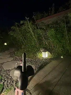 xiao-Lin Webcam Show
