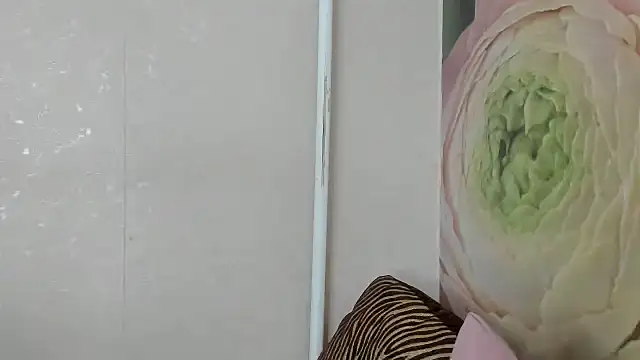 دردشة RosyFoxy الجنسية المباشرة